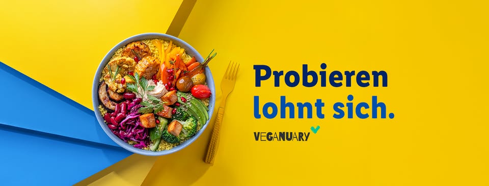 Folleto lidl